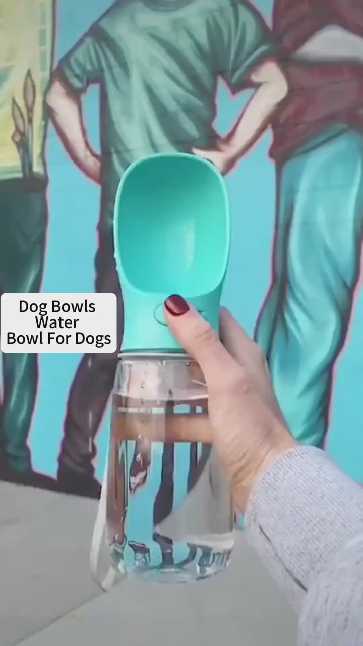 Premium Portable Travel Pet Water Bottle & Drinking Bowl - Rovergo Pets